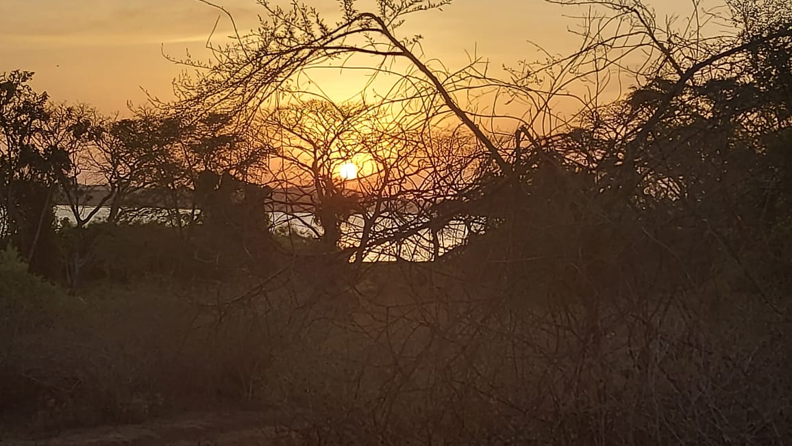 Indigenous forest at Utonga