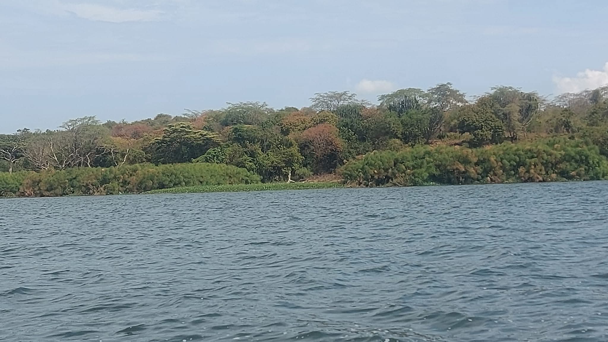 Utonga Ecosystems conservation landscape