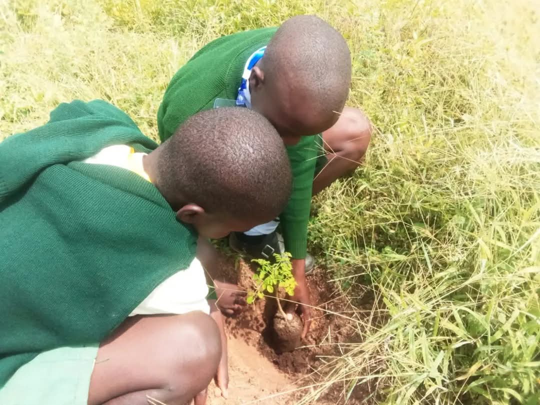 Community conservation work