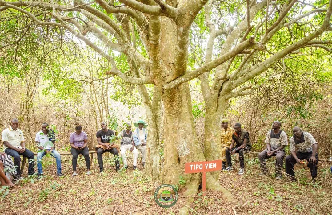 Lake Victoria shoreline near Utonga