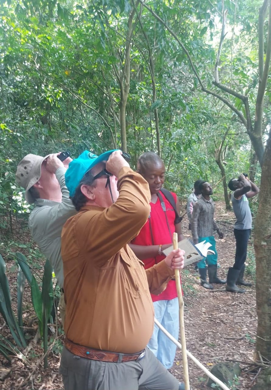 Wildlife protection activities