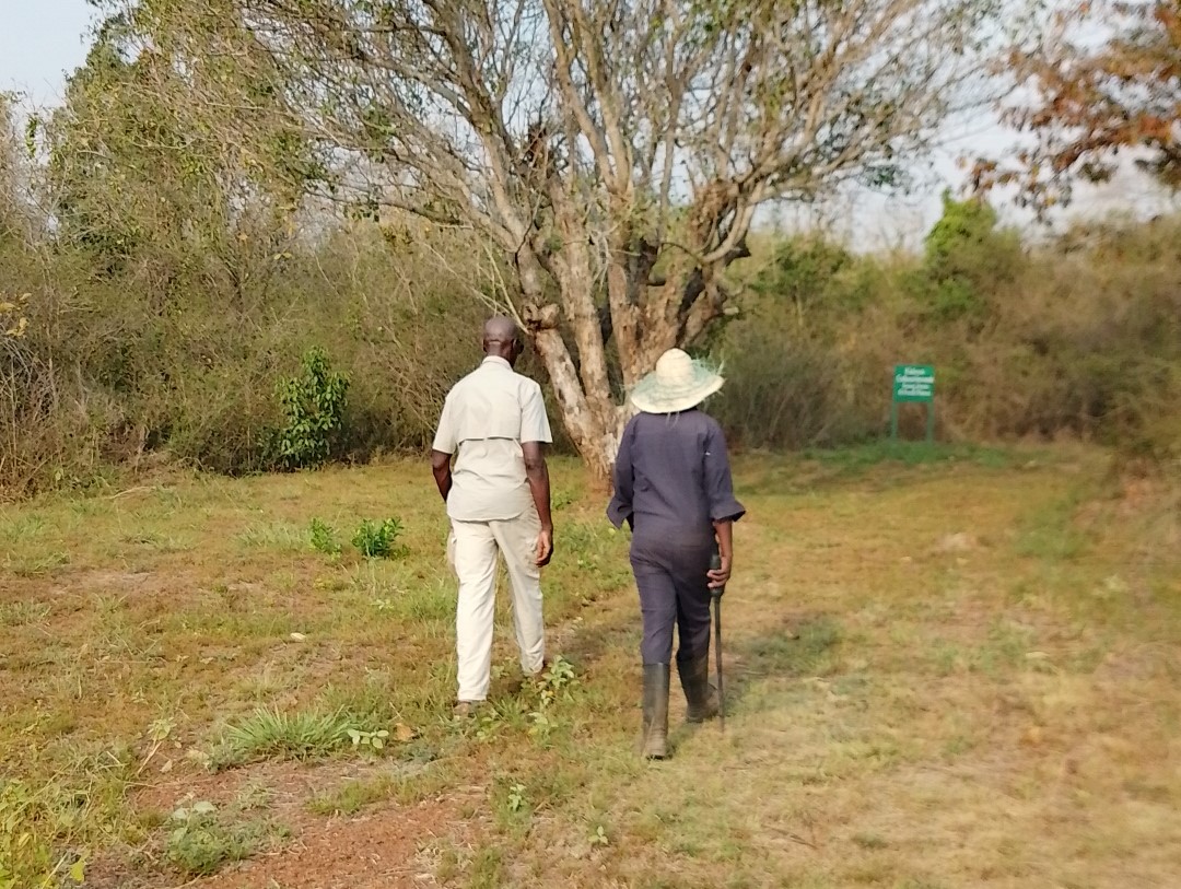 Forest trail through indigenous trees at Utonga Peninsula
