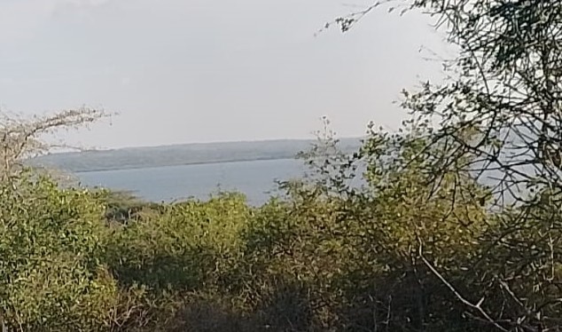 Sitatunga antelope wetland habitat similar to protected Kenyan reserves